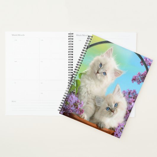 Chatons et Lilacs (Devant avec enveloppe)