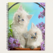 Chatons et Lilacs (Devant)