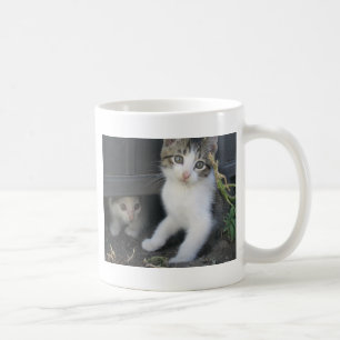 Chatons jouant sur la tasse de ferme
