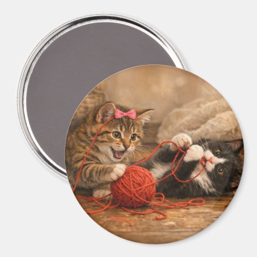 Chatons mignons jouant avec un aimant rond de fil (Recto/Verso)