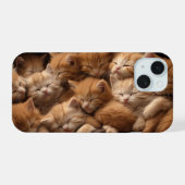 Chatons orange dormant en tas (Verso Horizontal)