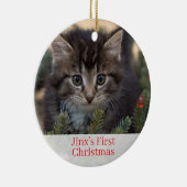 Chatons pour animaux domestiques Premier ornement  (Droite)