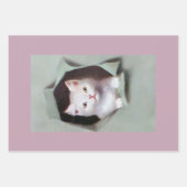 Chatons vintage faisant irruption dans du papier c (Devant 3)