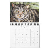 Chats 2011 de calendrier (Jan 2027)
