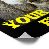 Chats amusants, affiche (Coin)