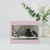 chats amusants chats vintages photo chats carte fu (Debout devant)