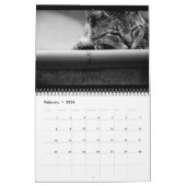 Chats - calendrier 2016 (Feb 2026)