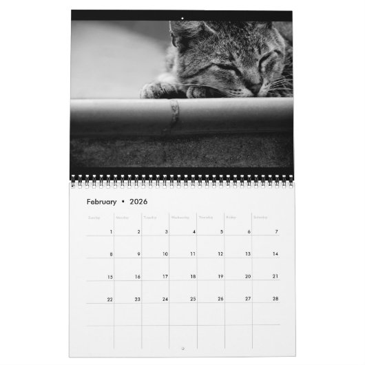 Chats - calendrier 2016 (Feb 2026)