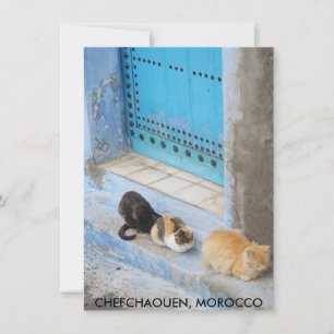 Chats, Chefchaouen, Carte Maroc
