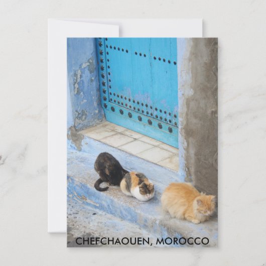 Chats, Chefchaouen, Carte Maroc (Devant)