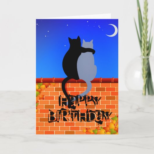 Chats cool sur la carte d'anniversaire du mur (Devant)
