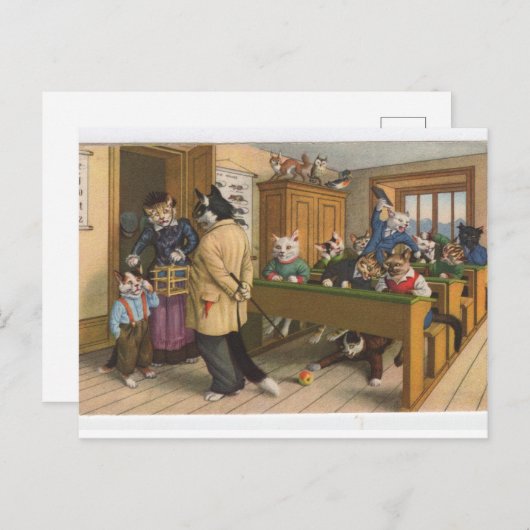Chats Coquins En Classe, Vêtus, Carte Postale (Devant / Derrière)