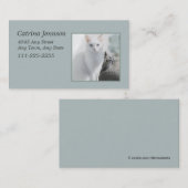 Chats dans le Carte de visite de fenêtre ensoleill (Devant / Derrière)