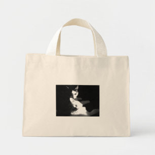 Chats dans le sac