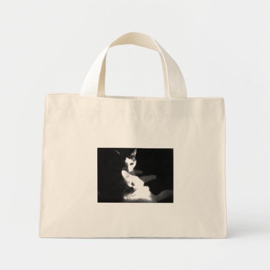 Chats dans le sac (Devant)