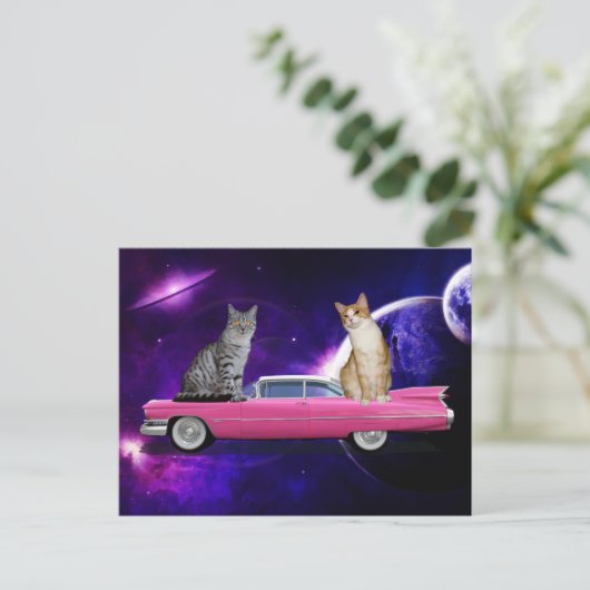CHATS DANS L'ESPACE SUR UNE CARTE POSTALE CADDY RO (Debout devant)
