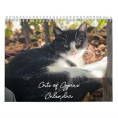 Chats de Chypre par Calendrier Paphos Life (Protection)