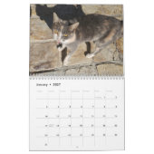 Chats de Chypre par Calendrier Paphos Life (Jan 2027)