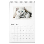 Chats De L'Année Calendrier Annuel 2018 (Jan 2027)