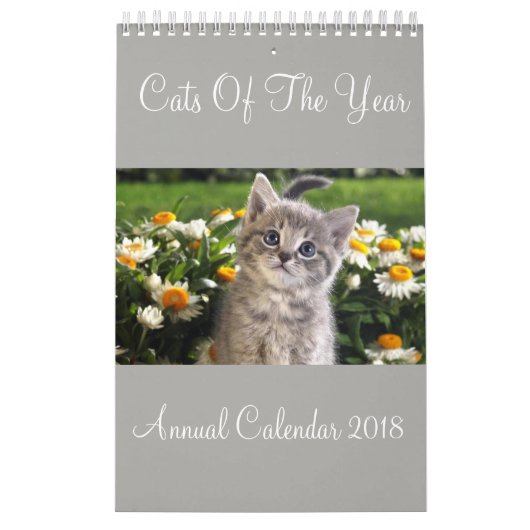 Chats De L'Année Calendrier Annuel 2018 (Protection)