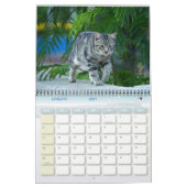 Chats de Malte - Calendrier 2023 (Jan 2027)