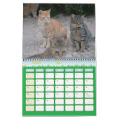 Chats de Malte - Calendrier 2023 (Mar 2027)