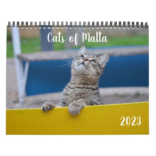 Chats de Malte - Calendrier 2023 (Protection)