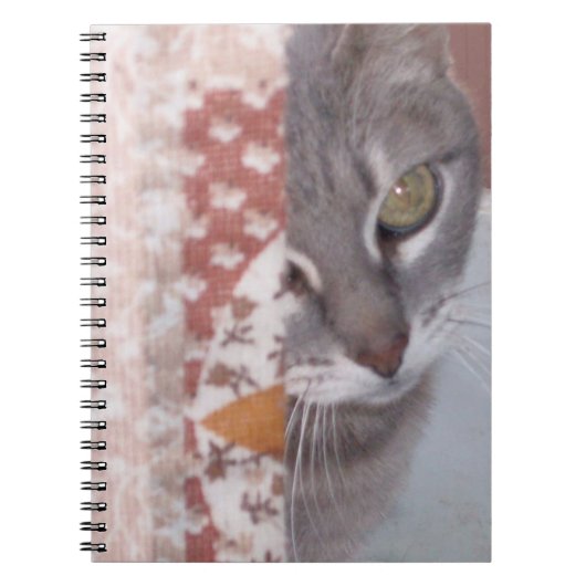 Chats de veau 13 Carnets (Devant)