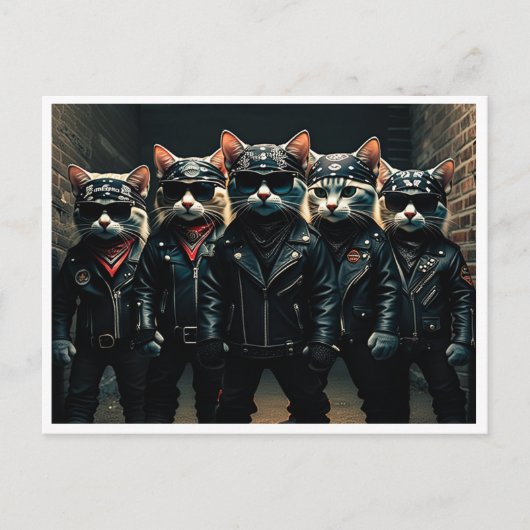 Chats drôles. Carte postale (Devant)
