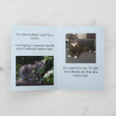 Chats drôles, excuses pour s'isoler carte (Intérieur)