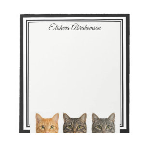 Chats drôles qui regardent par-dessus un bloc-note
