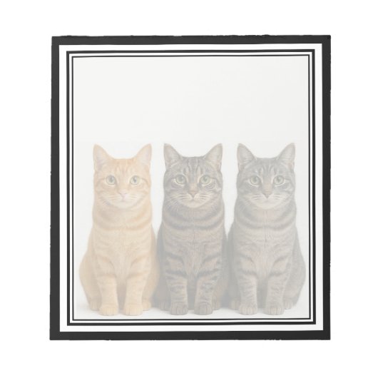 Chats drôles qui regardent par-dessus un bloc-note (Devant)