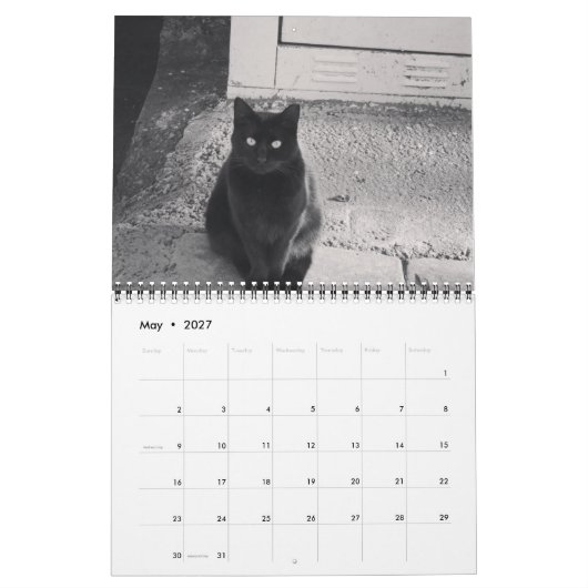 Chats du calendrier ISTANBUL (Mai 2027)