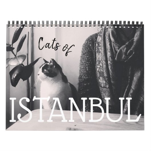Chats du calendrier ISTANBUL (Protection)