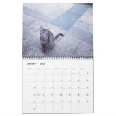 Chats du calendrier ISTANBUL (Jan 2027)