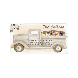 Chats en camion avec boîte, étiquette d'adresse de