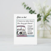 Chats en carte de lit (Debout devant)