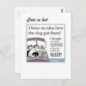 Chats en carte de lit (Devant / Derrière)