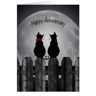 Chats en clair de lune pour le conjoint