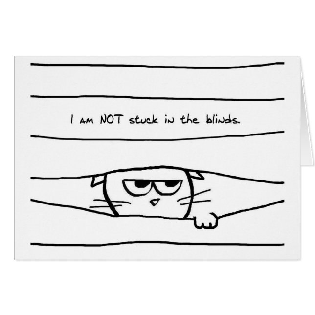 Chats et abat-jour de fenêtre - carte drôle de (Devant horizontal)