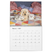 Chats et calendrier 2019 de chaton (Feb 2027)