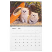 Chats et calendrier 2019 de chaton (Jan 2027)