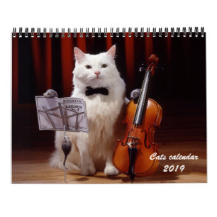 Chats et calendrier 2019 de chaton