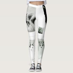 Chats et chatons Collage Leggings funky