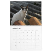 Chats et Chatons Rustiques 2 Calendrier Mural - HA (Feb 2027)