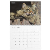 Chats et Chatons Rustiques 2 Calendrier Mural - HA (Mar 2027)