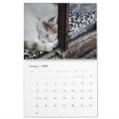 Chats et Chatons Rustiques 2 Calendrier Mural - HA (Jan 2027)