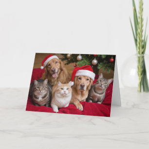 Chats et Chiens Noël Carte de voeux pliée