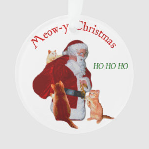 Chats et Père Noël