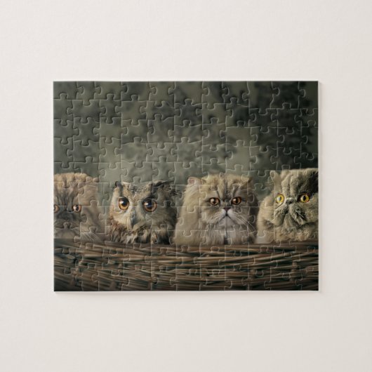 Chats et puzzle de hibou (Horizontal)